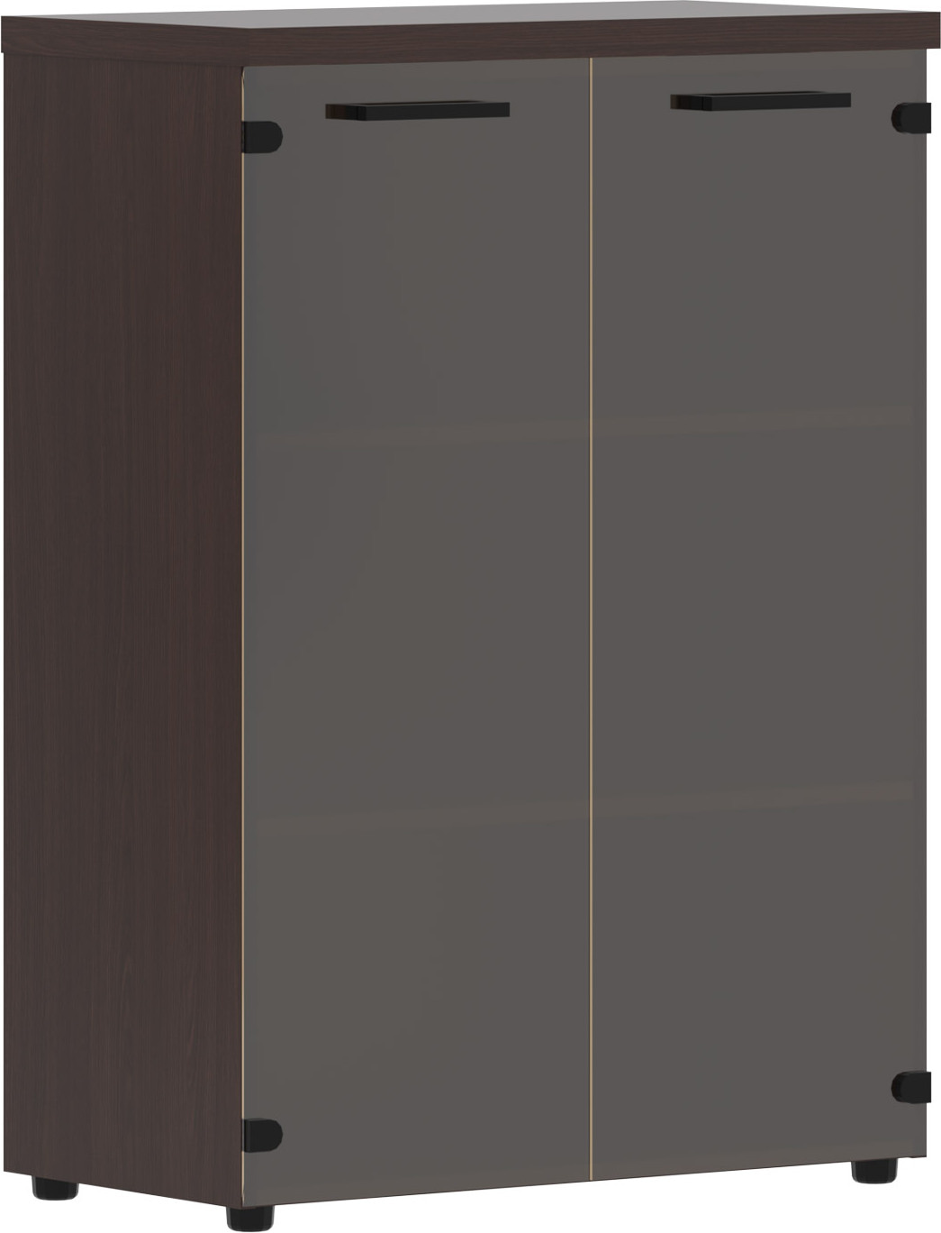 Шкаф для документов Torr Lux TLMC 85.2
