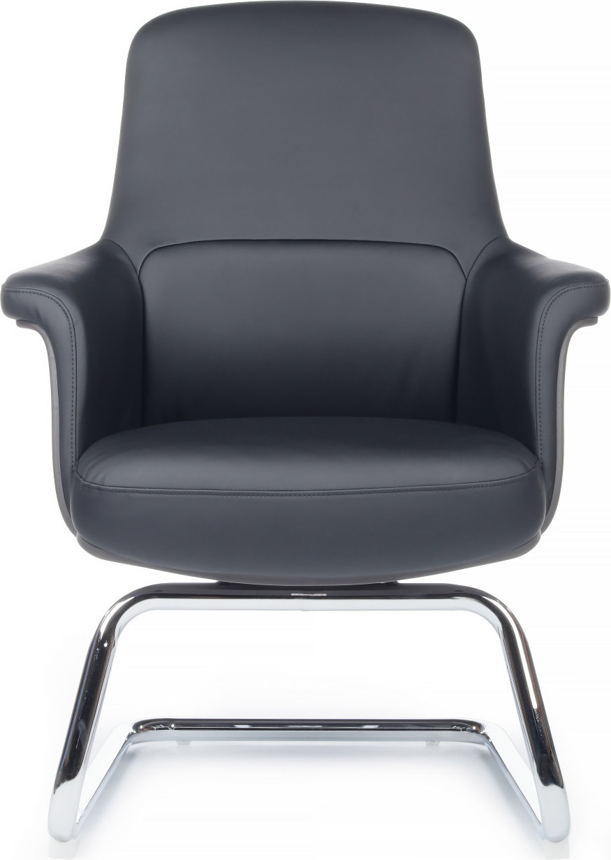 Кресло посетителя RivaChair Verdi SF D655