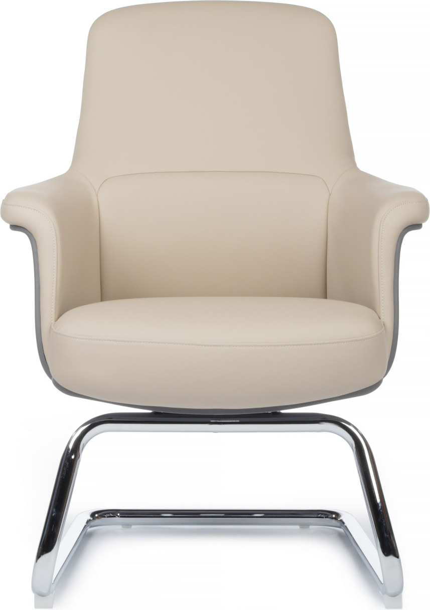 Кресло посетителя RivaChair Verdi SF D655