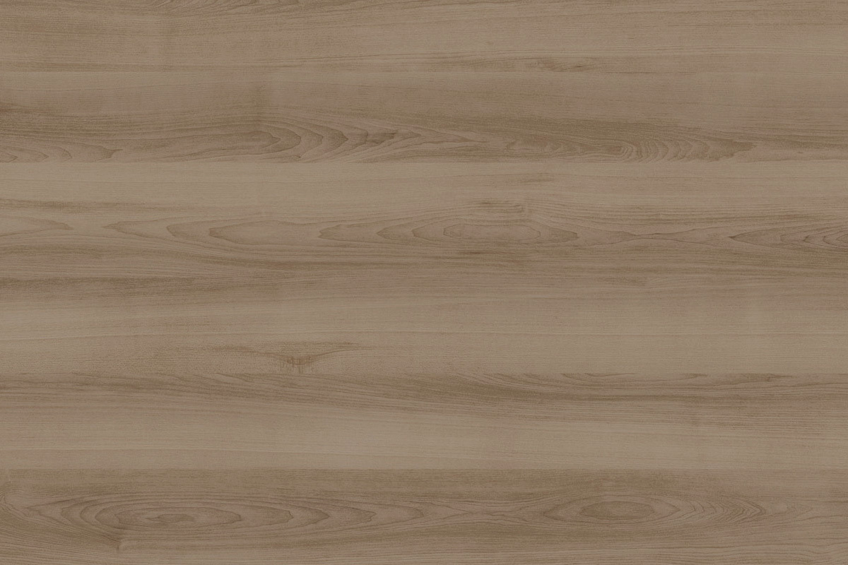Композиция 1 Edvard EDV501