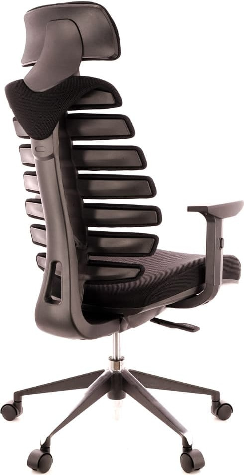 Кресло офисное эргономичное Everprof Ergo Black