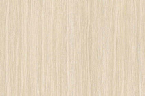 Двери низкие Trend TRD296541