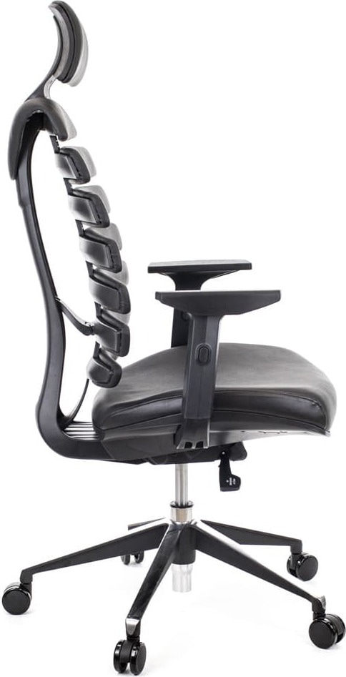 Кресло офисное эргономичное Everprof Ergo Black кожа