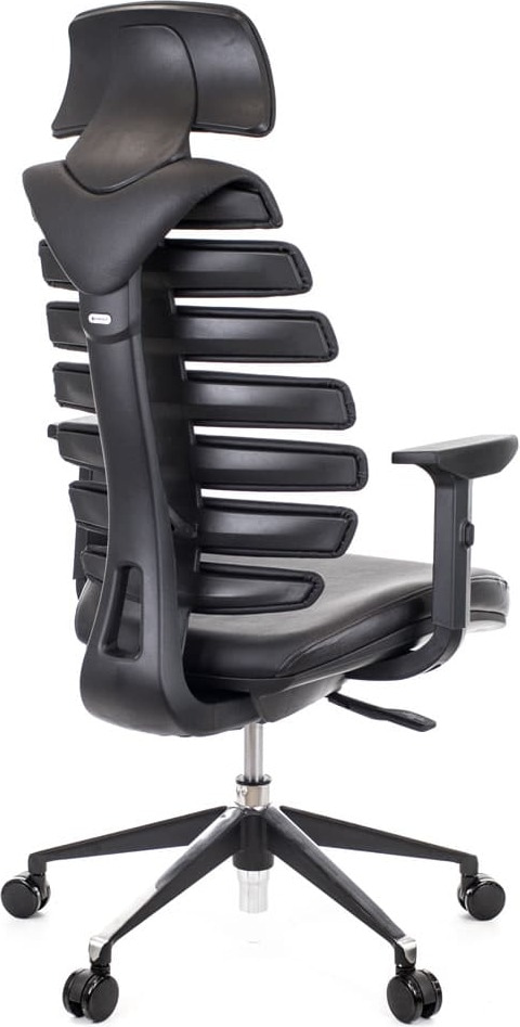Кресло офисное эргономичное Everprof Ergo Black кожа