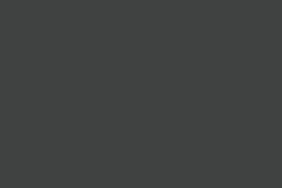 Шкаф Forta FLC 80.1(Z)