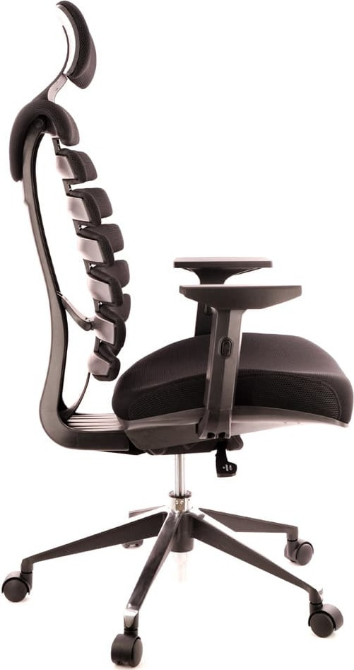 Кресло офисное эргономичное Everprof Ergo Black